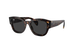 Ray-Ban RB7681S-902/48